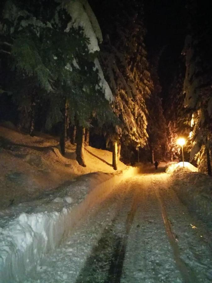 Elitza Villa Pamporovo Kültér fotó