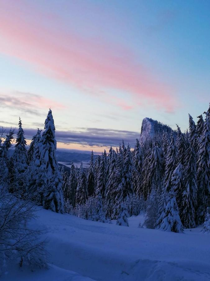 Elitza Villa Pamporovo Kültér fotó