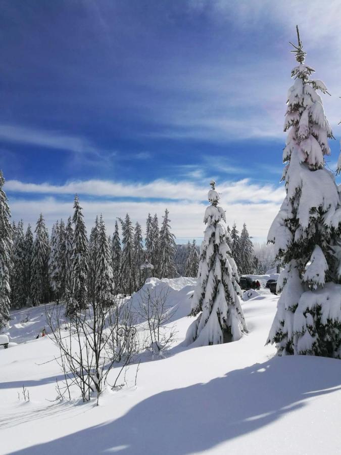 Elitza Villa Pamporovo Kültér fotó