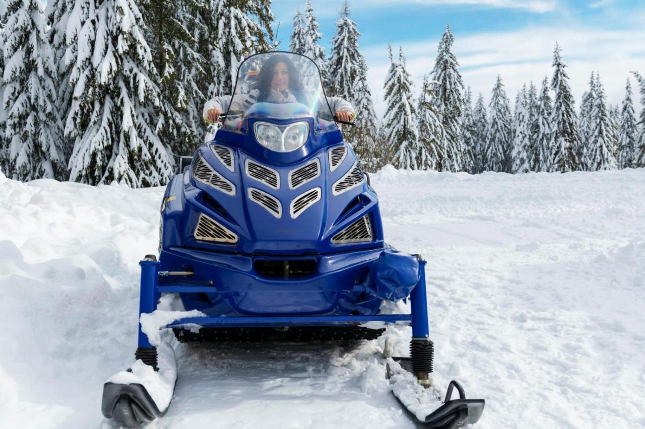 Elitza Villa Pamporovo Kültér fotó