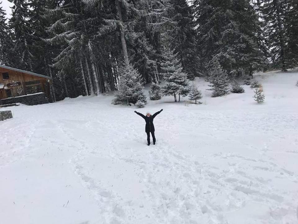 Elitza Villa Pamporovo Kültér fotó