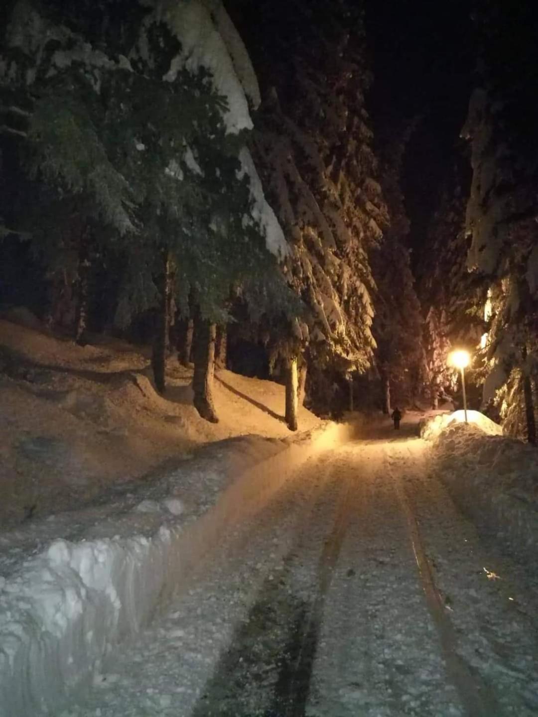 Elitza Villa Pamporovo Kültér fotó