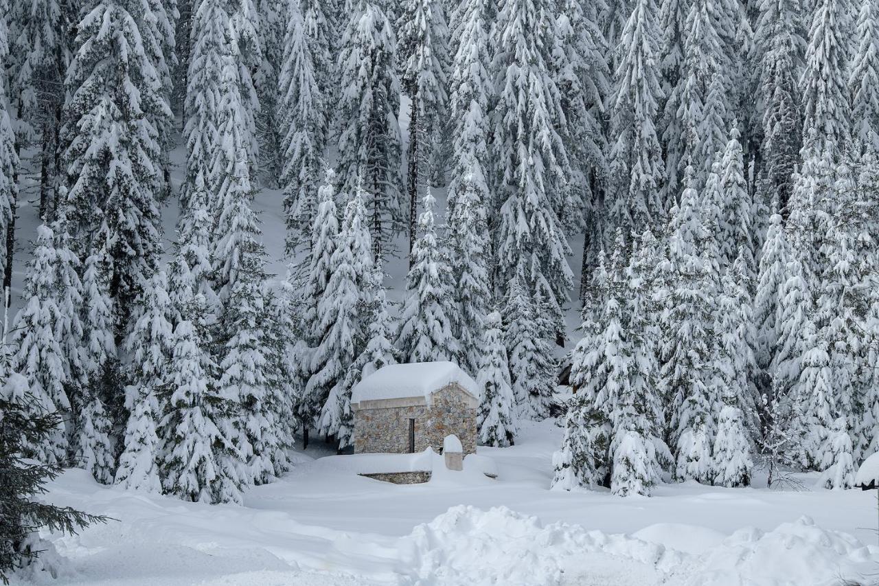 Elitza Villa Pamporovo Kültér fotó